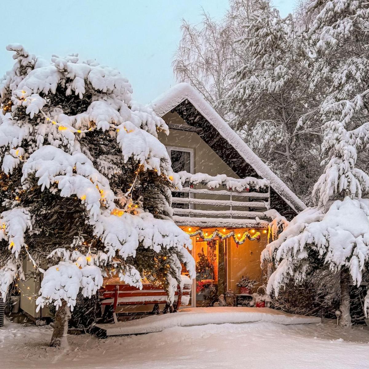 Rajska Cisza - Caloroczny Prywatny Domek W Lesie Nad Jeziorem - Sauna I Balia Krąg Eksteriør billede
